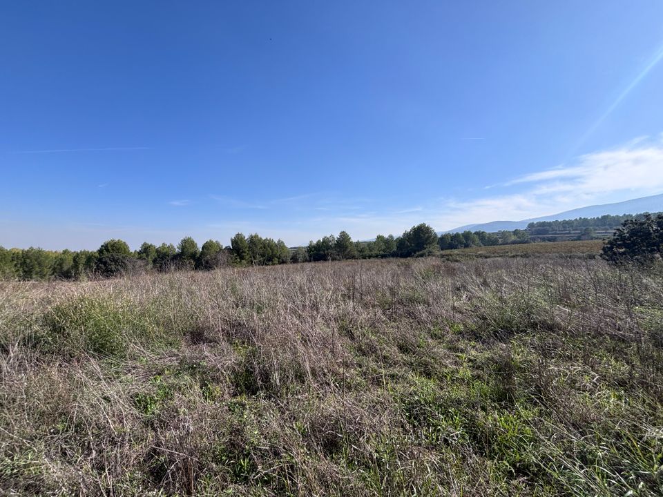 Finca i Ontinyent, Valencia - foto 5